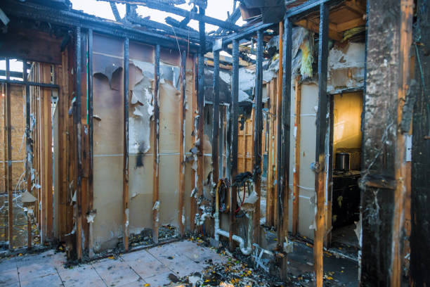 Professional Fire Damage Removal technician working in Inglewood, CA